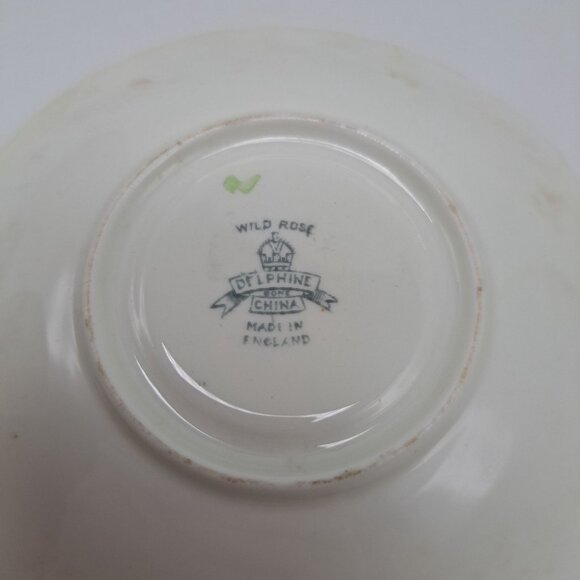 Delphine Wild Rose Teacup and Saucer - Picture 14 of 14